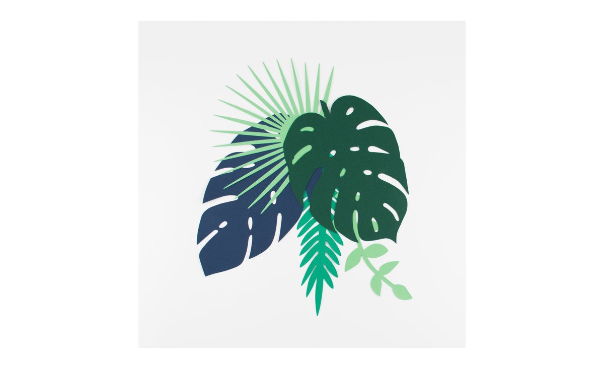Feuilles tropicales