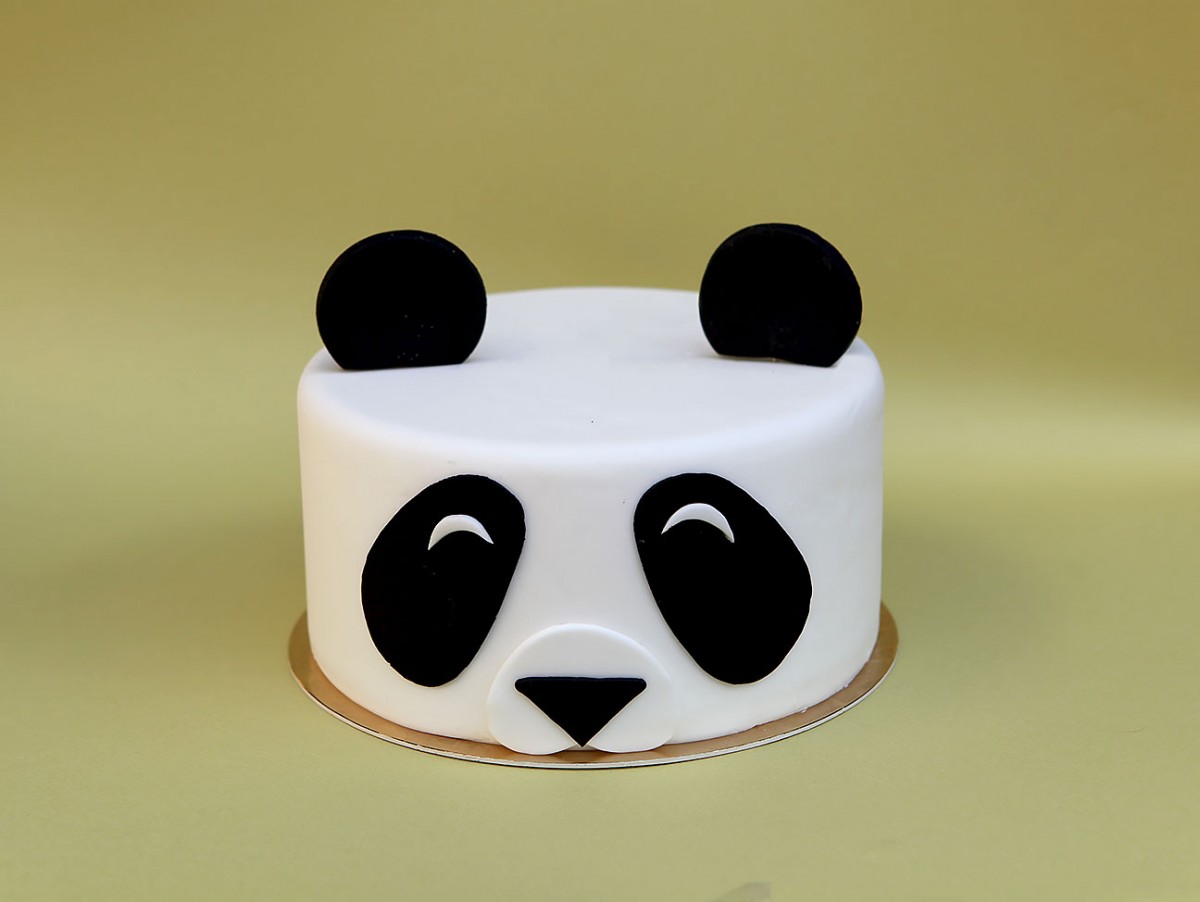 Gato Panda